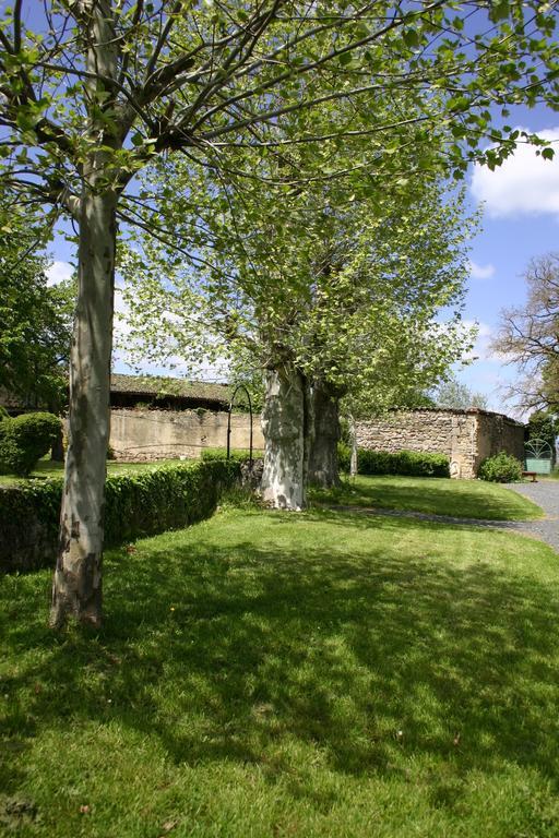 Domaine La Reveille Bed & Breakfast Dore-l'Eglise Exterior photo