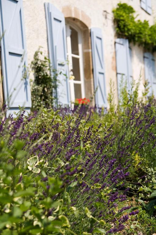 Domaine La Reveille Bed & Breakfast Dore-l'Eglise Exterior photo